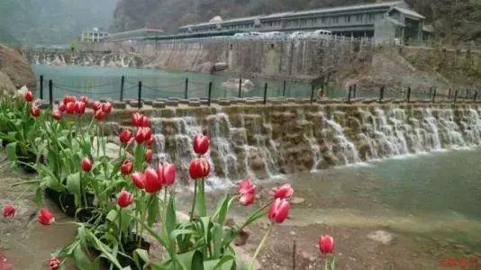 逃离地下古寺庙